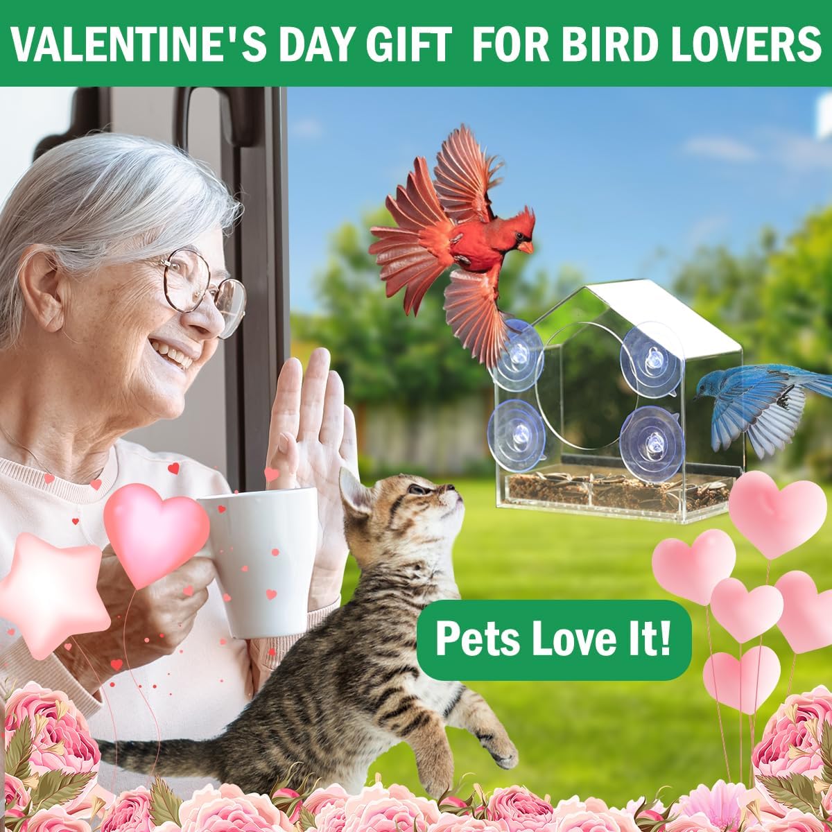 Window Bird Feeder with Strong Suction Cups - Slide-Out Tray