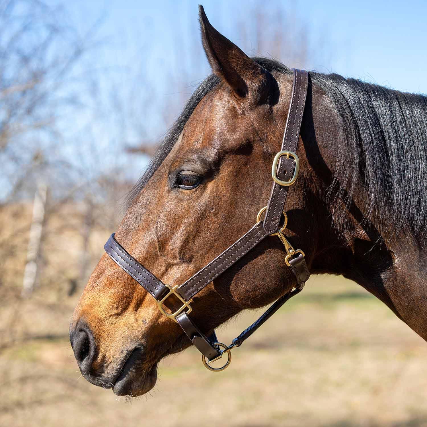 Versailles Triple Stitched Leather Horse Halter with Double Buckle Crown & Throat Snap, Adjustable Premium Leather