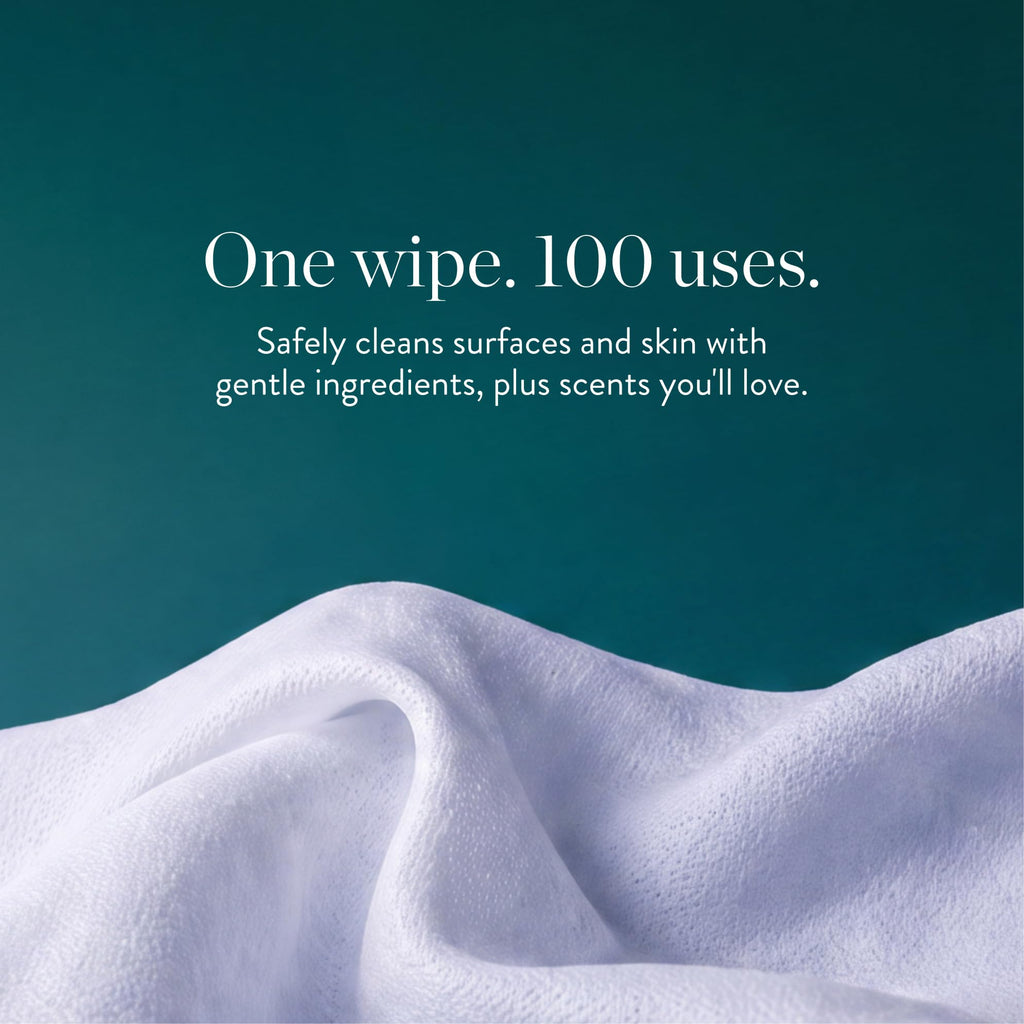 All Purpose Cleaning Wipes, Fragrance Free, 60ct, 6-Pack, 8" Refill