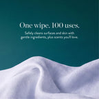 All Purpose Cleaning Wipes, Fragrance Free, 60ct, 6-Pack, 8" Refill