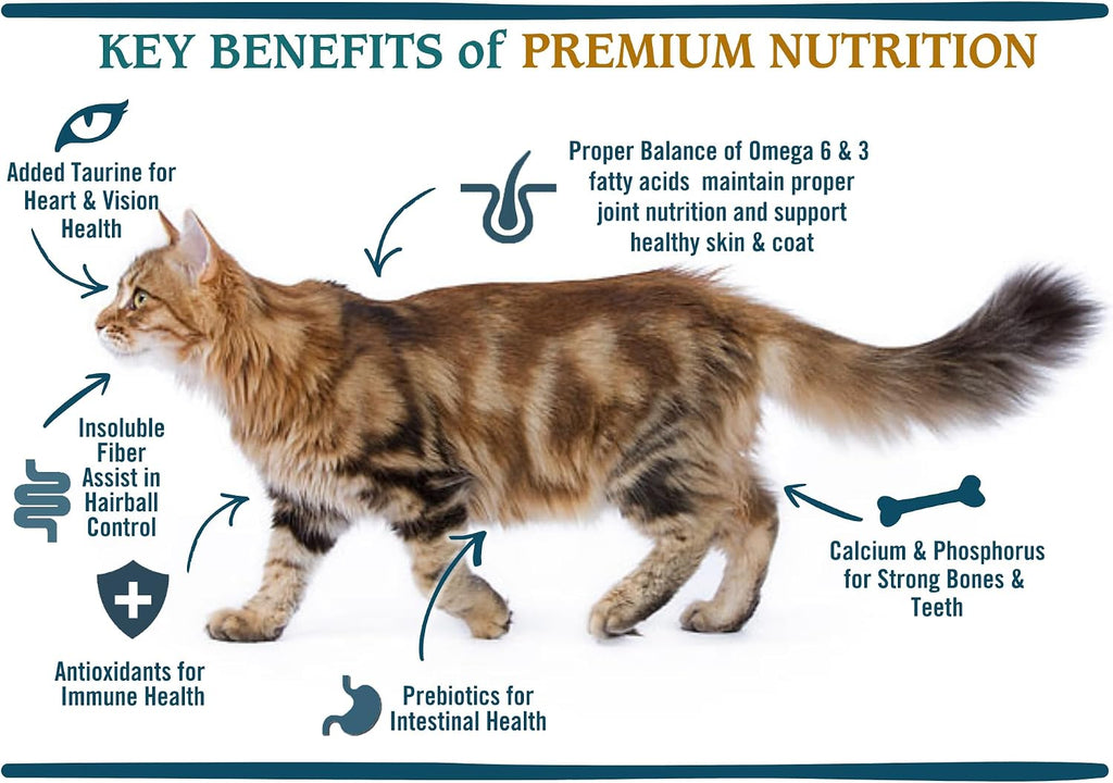 Natural Premium Indoor w/Hairball Care Adult Dry Cat Food, Real Meat First Ingredient, No By-Products, Supports