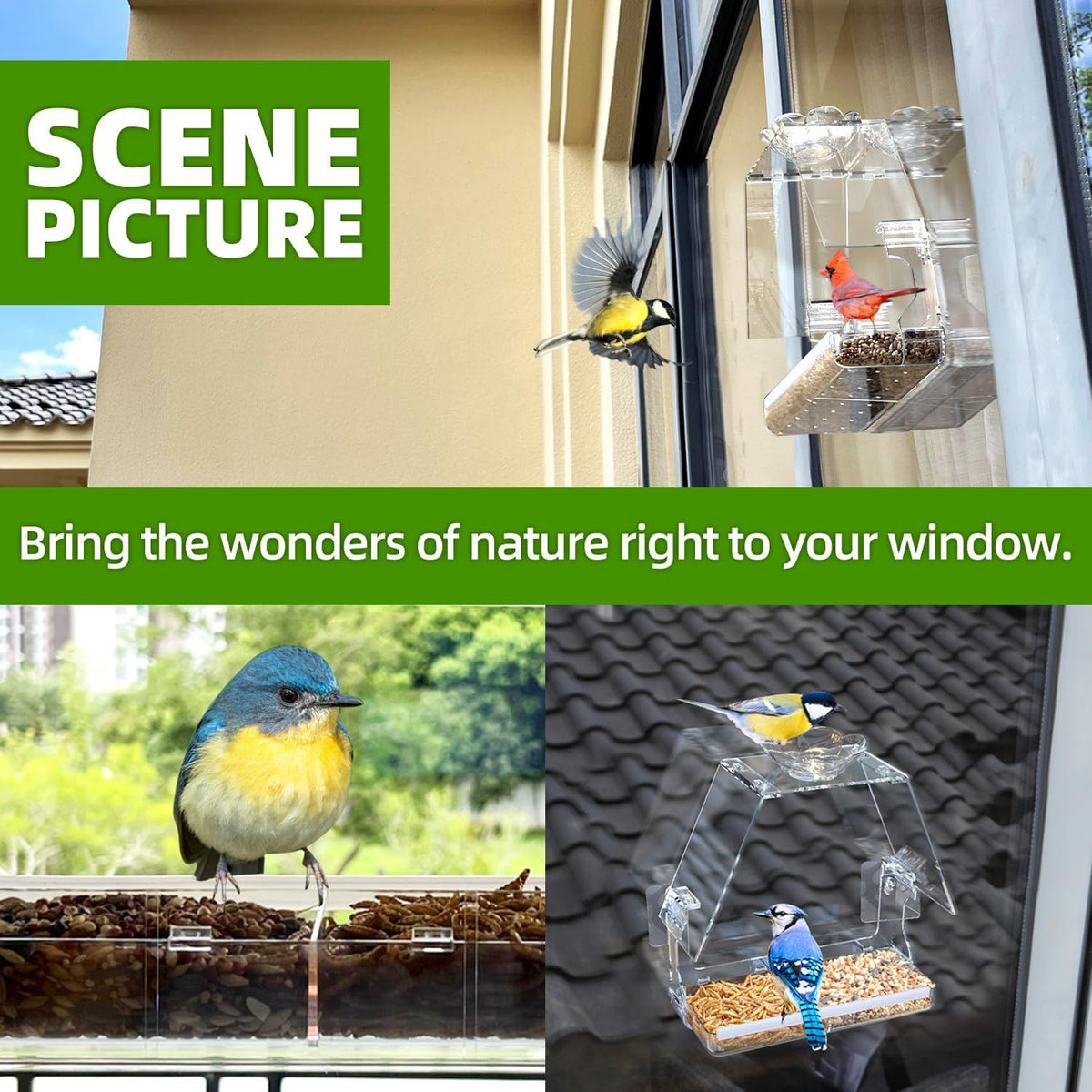 Window Bird Feeder with Non-Marking Self-Adhesive Hooks