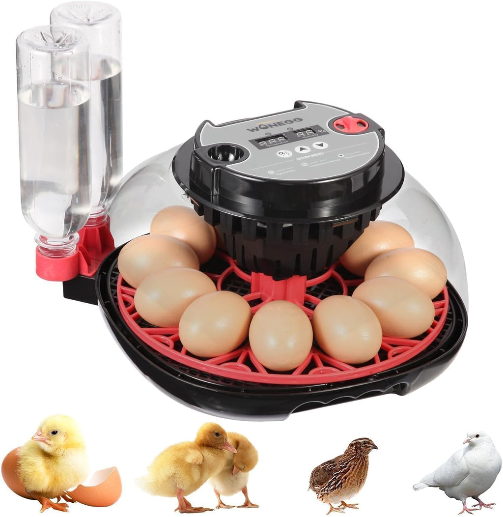 Series II - 12 Egg Automatic Incubator for Beginners, Smart Adaptive Humidity (Dual-Bottle) & Auto Temp Control, Auto