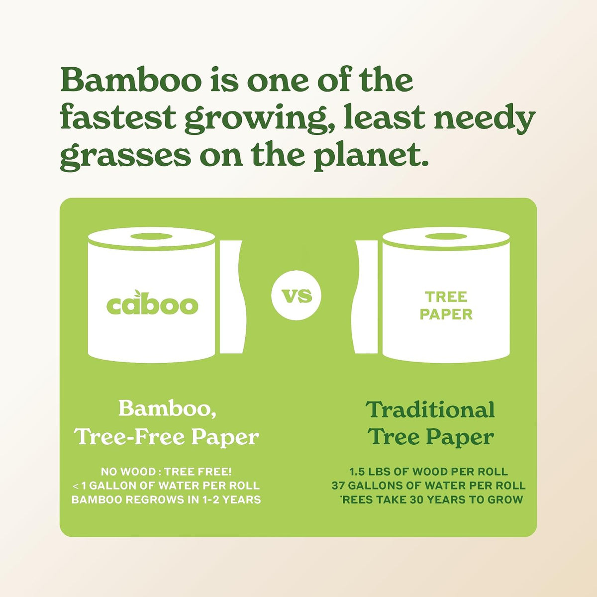 Tree Free Paper Towels, Sustainable, Toxin Free, 8 Family Size Rolls