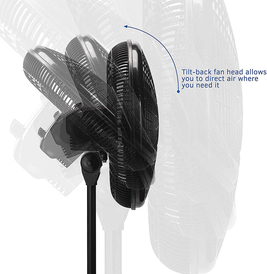 18 in. Adjustable Elegance and Performance Pedestal Fan, Black 18"/Black