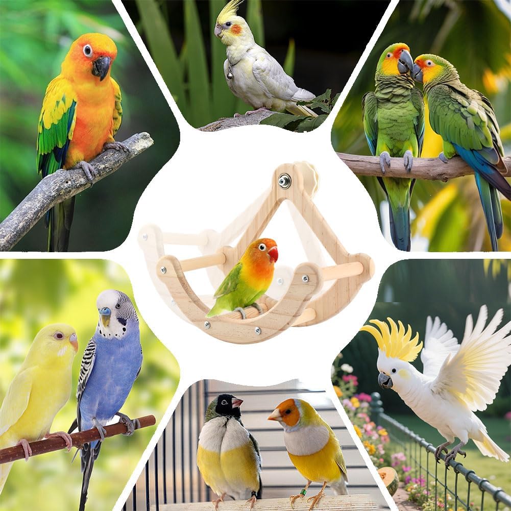 Bird Perch Toy, Interactive Rocking Parakeet Toys and Perches, Wooden Exercise Cockatiel Toys, Intelligence Birds