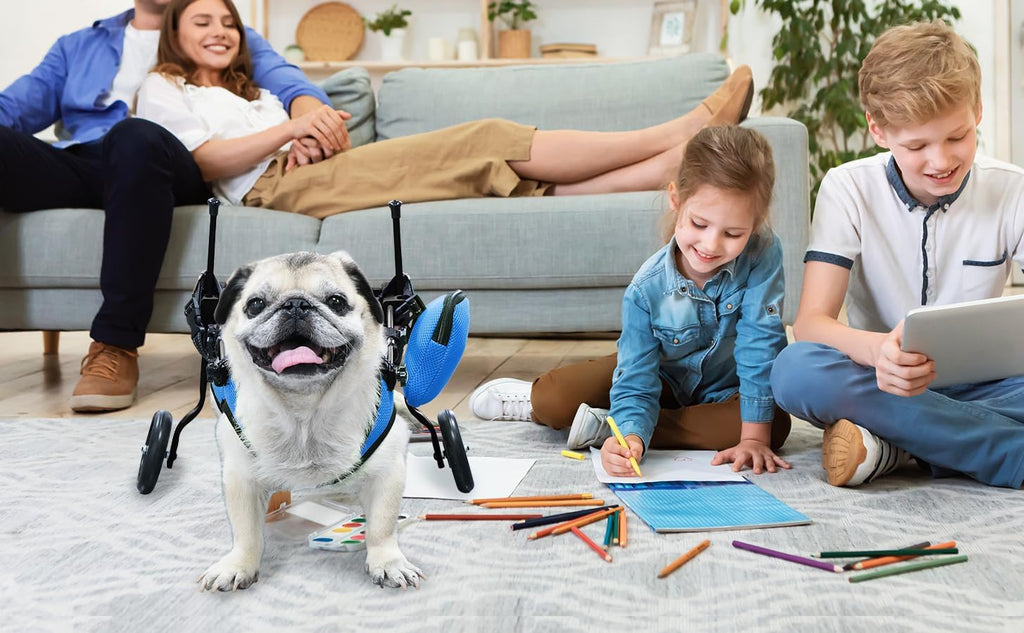 pet Wheelchair for Back Legs,Suitable for Back Legs,Cart Doggy Wheelchair for Disabled Legs Walking Mobility,Cat/Dog