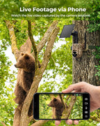 4G LTE Cellular Trail Cameras, 360° Panoramic View, Live Streaming