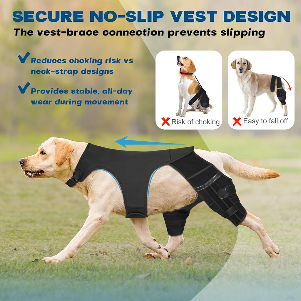Dog Knee Brace for Torn ACL Hind Leg, Dog Leg Braces for Back Leg Support with 4 Metal Stabilizers Helps with Torn