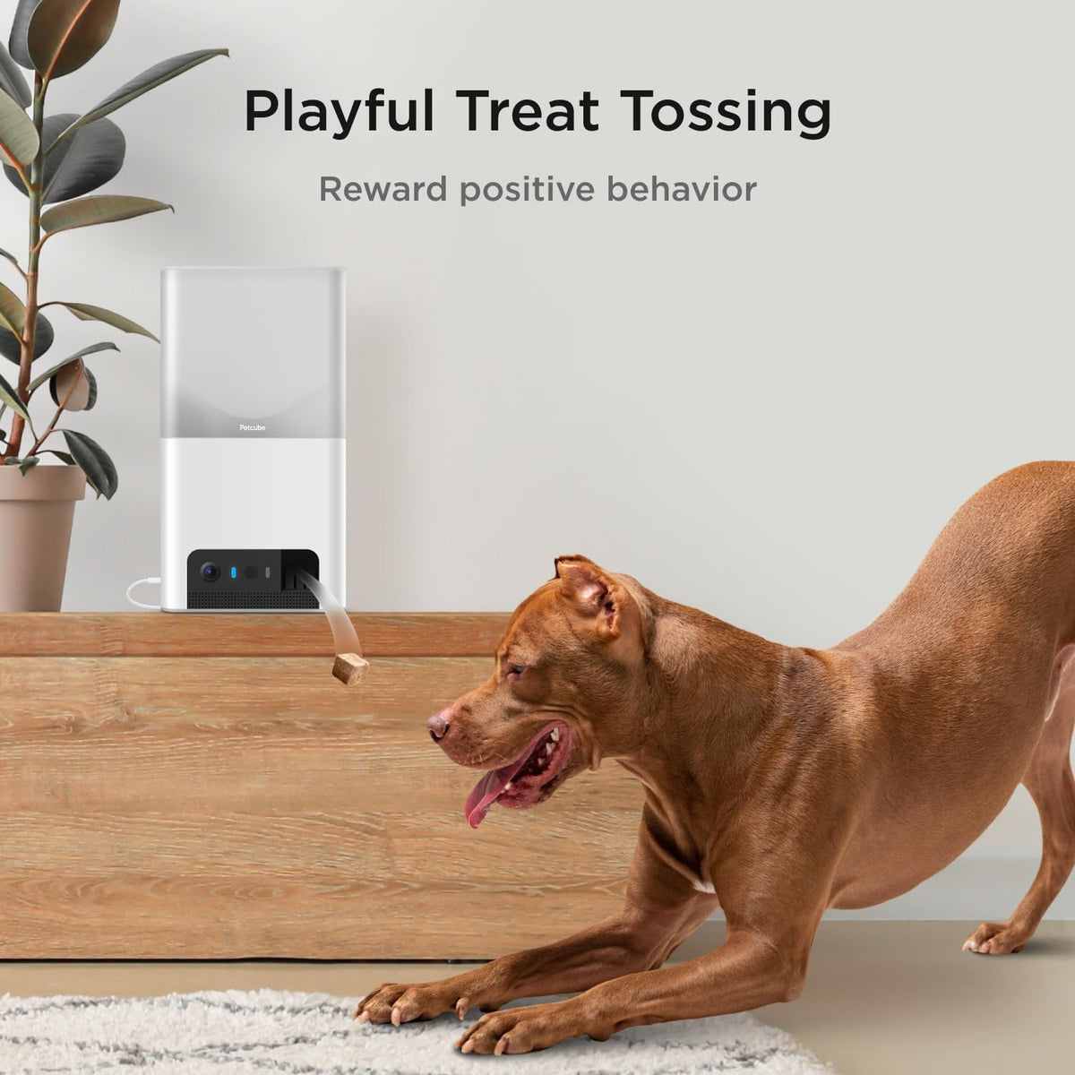 Bites 2 Lite Pet Camera [Subscription Required] - Treat Dispenser