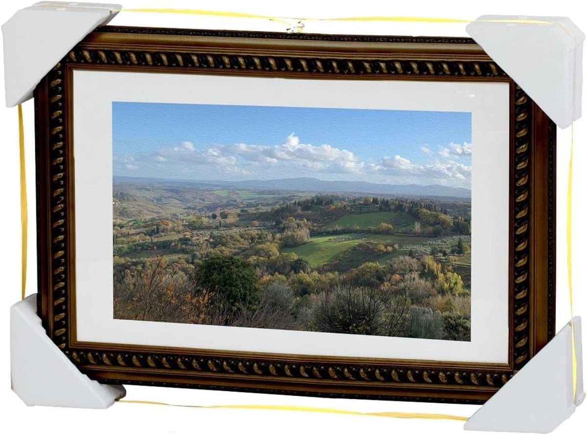Picture Packer Kit - 4 Corner Protectors for Picture Frames & Mirrors - Includes 17' Securing Strap
