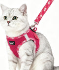 Step-in Cat Harness and Leash Escape Proof
