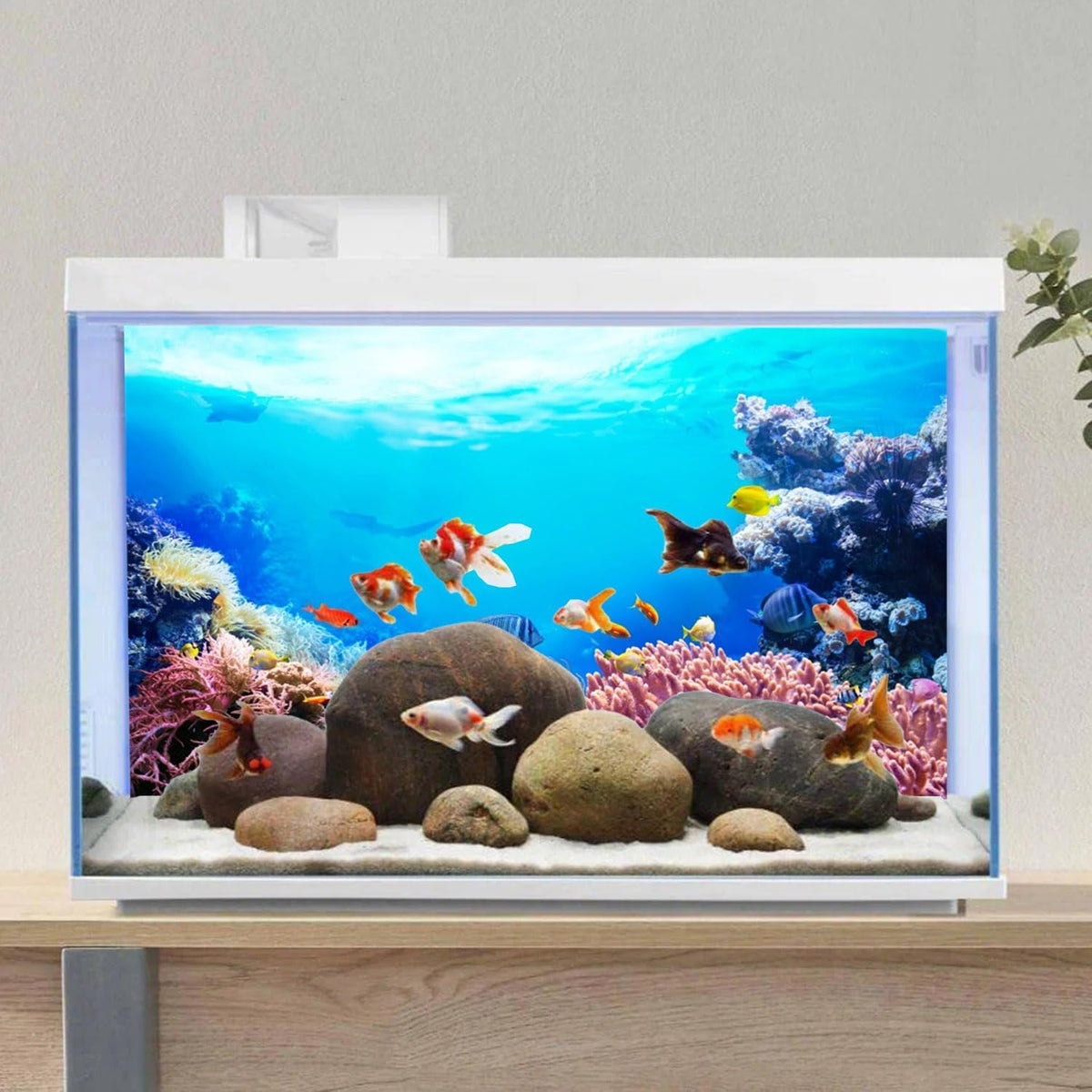 48x24 in Underwater Aquarium Backdrop Colorful Coral Fish Tank Background