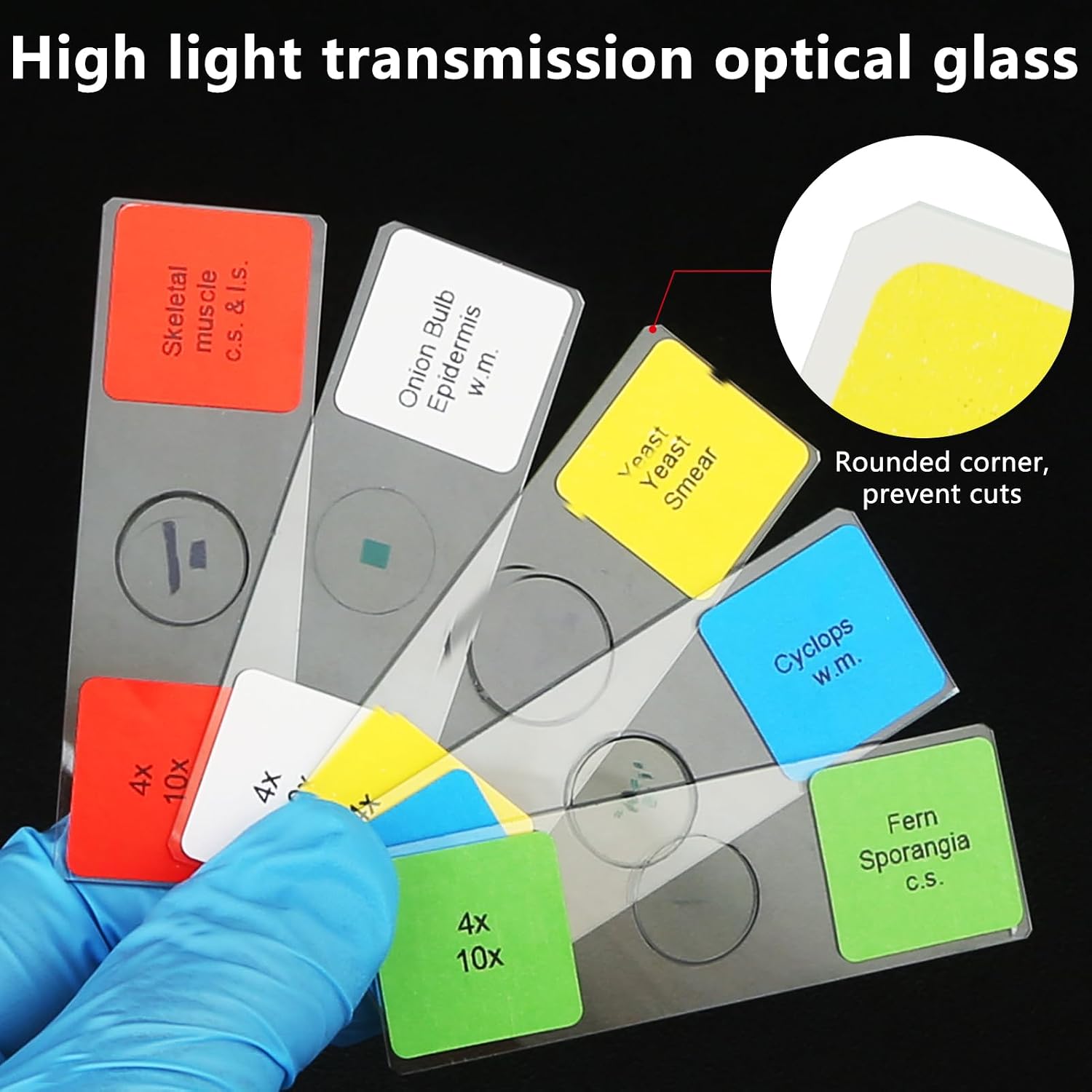 Microscope Slides with Specimens for Kids, 60 Lab-Grade Prepared Microscope Slides, Animal/Plant/Microbe/Tissue