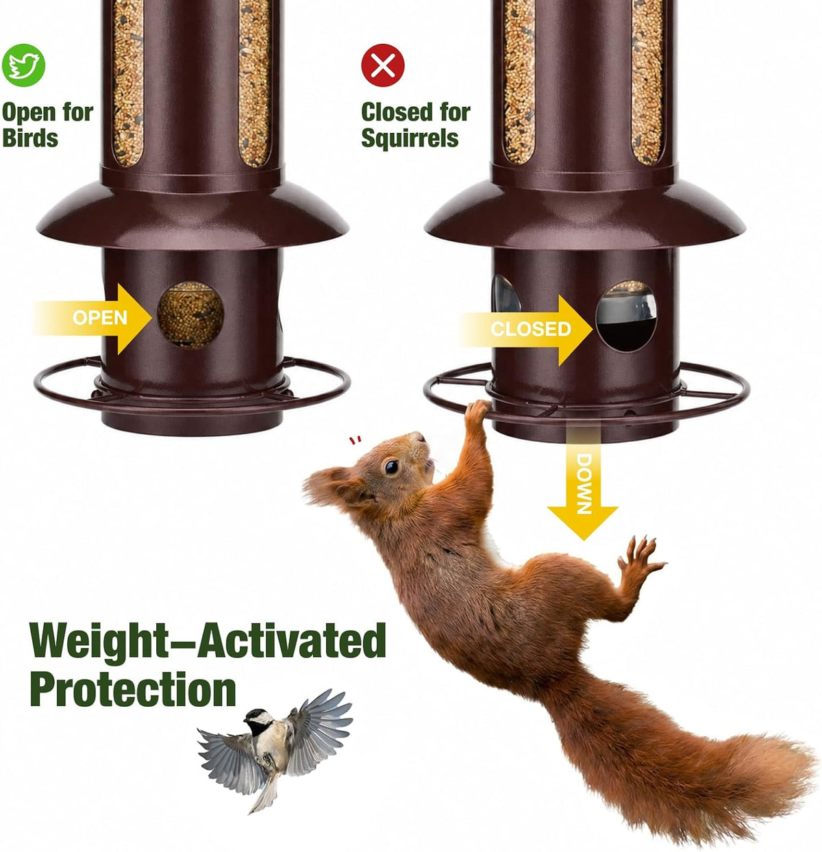 Squirrel Proof Hanging Bird Feeder for Outdoors