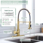 Pull-Down Kitchen Faucet, 2-Mode Sprayer, Gold, High Arc