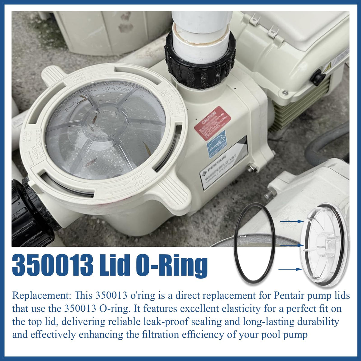 350013 Pool Pump Lid O-Ring, Replace for 350013Z/ O-318