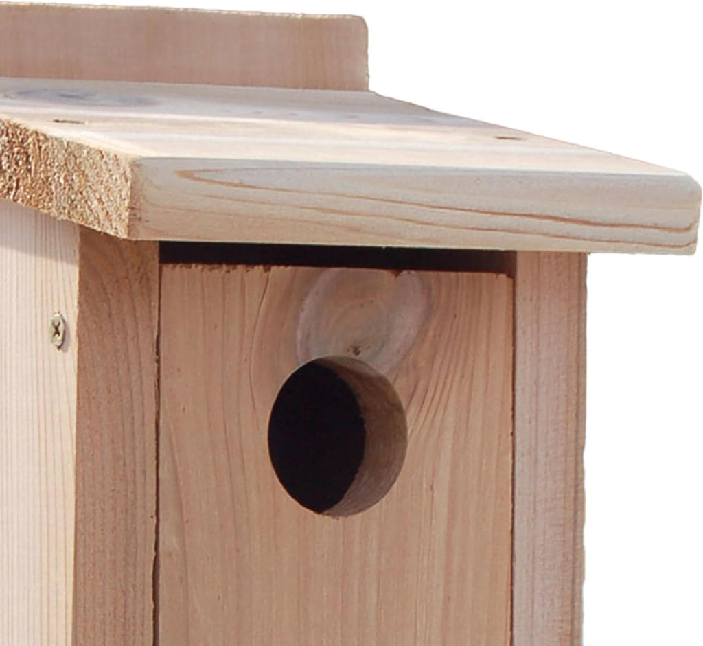 NABB Audubon Cedar Bluebird House