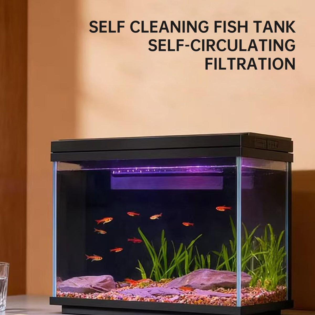 5 Gallon Fish Tank with Filter and Light