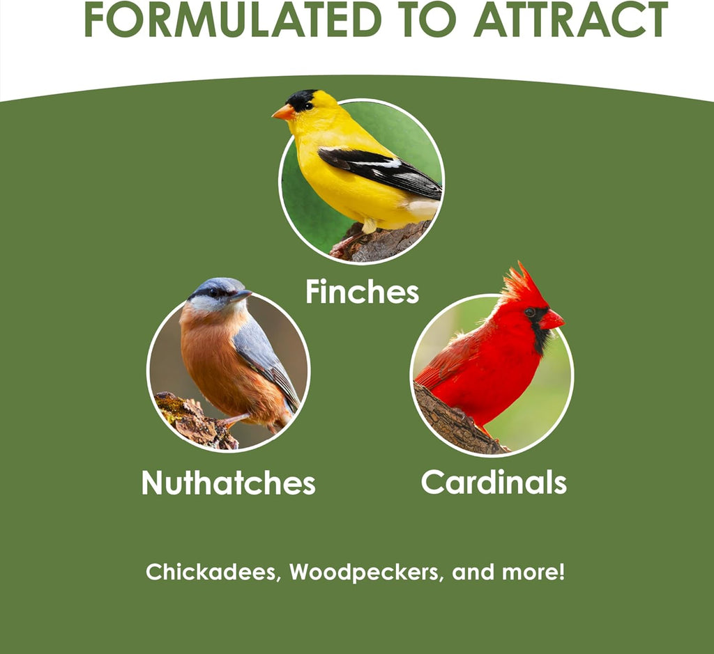 Ultimate No Mess Blend Wild Bird Seed Blend 9.75 Pounds | Less cleanup, 100% edible. For Cardinals, Chickadees