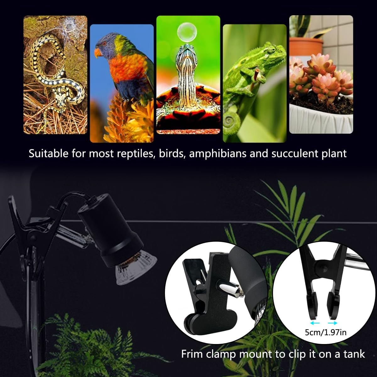 Turtle Heat Lamp + 2 Heating Bulbs (50W,35W), Reptile UVA UVB Basking Spot Lamp, Warming Light with Clamp for