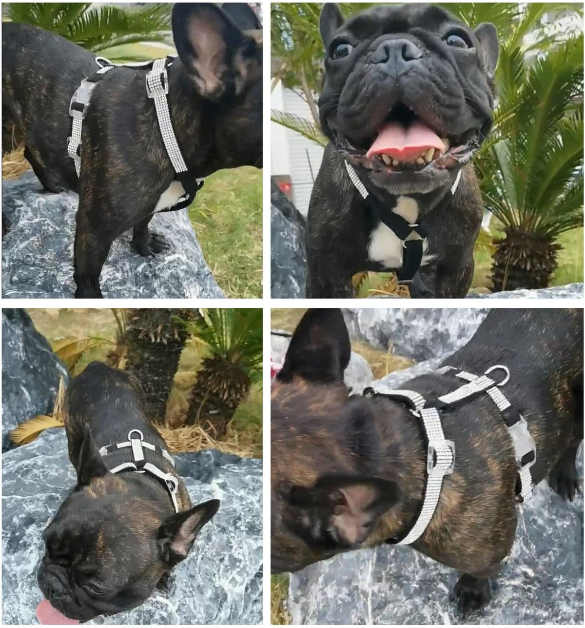 Dog Reflective Rhinestone Harness, No Pull Adjustable D-Ring Harness Walking Harness for Small Meduim Large