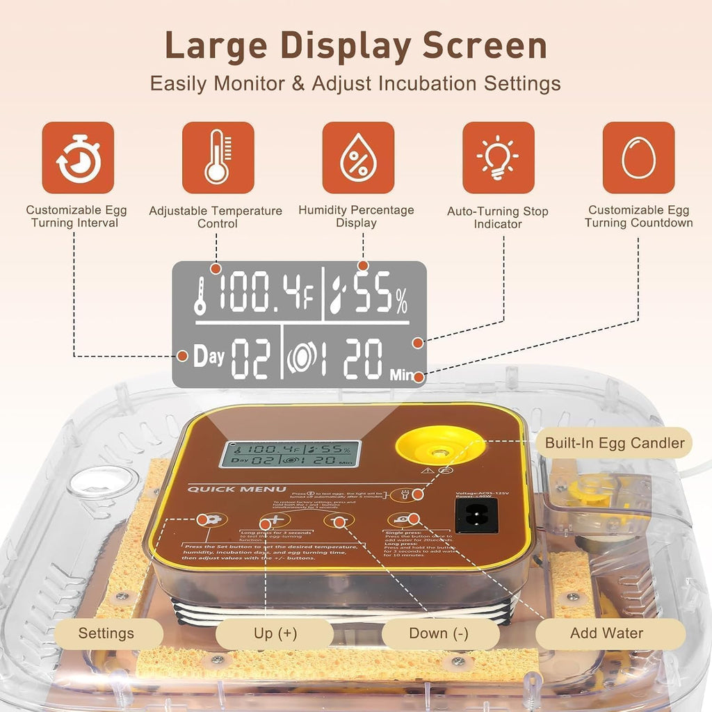 Series IV - 12-Egg Fully Automatic Incubator, Low Maintenance, Sensor-Based Precise Humidity & Temp Control