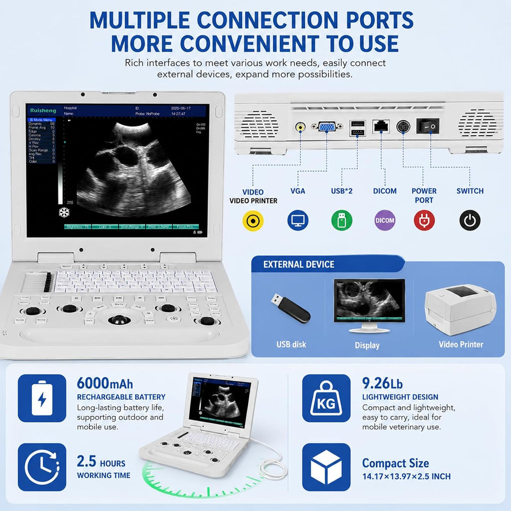 N20+3.5MHz Convex Probe Protable Laptop Veterinary Ultrasound Machine