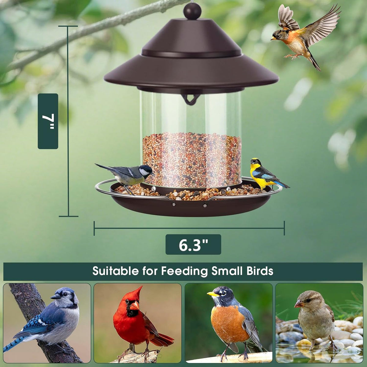 Bird Feeders for Outdoors, Hanging Small Metal Roof Bird Feeder with Clear Tube Seed Capacity for Viewing Cardinal