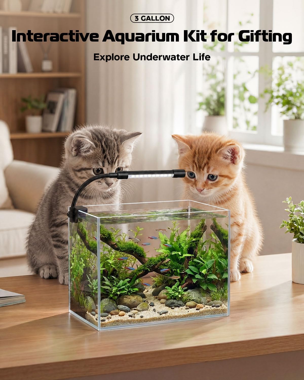 Glass Fish Tank Kit, 3 Gallon Betta Nano Fish Tank Aquarium Starter Kit
