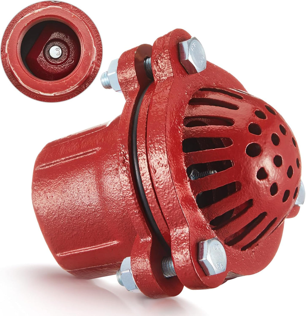 Cast Iron Foot Valve, NPT Threaded Check Valve with Strainer, 2 Inch