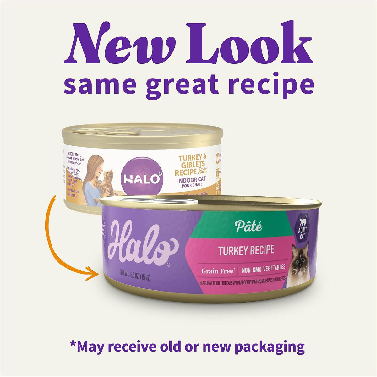 Pate Wet Cat Food, Real Turkey Recipe, 5.5 oz Can, 12-Pack