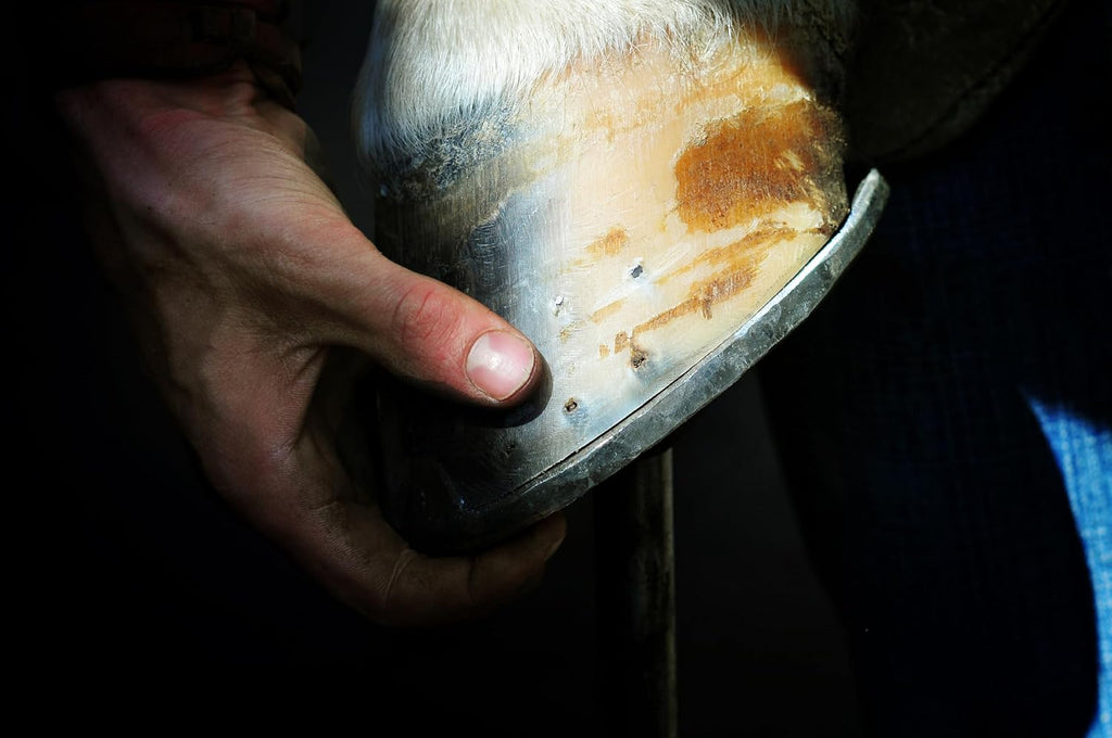 Elemental Equine Hoof Armour Hoof Dressing for Horses