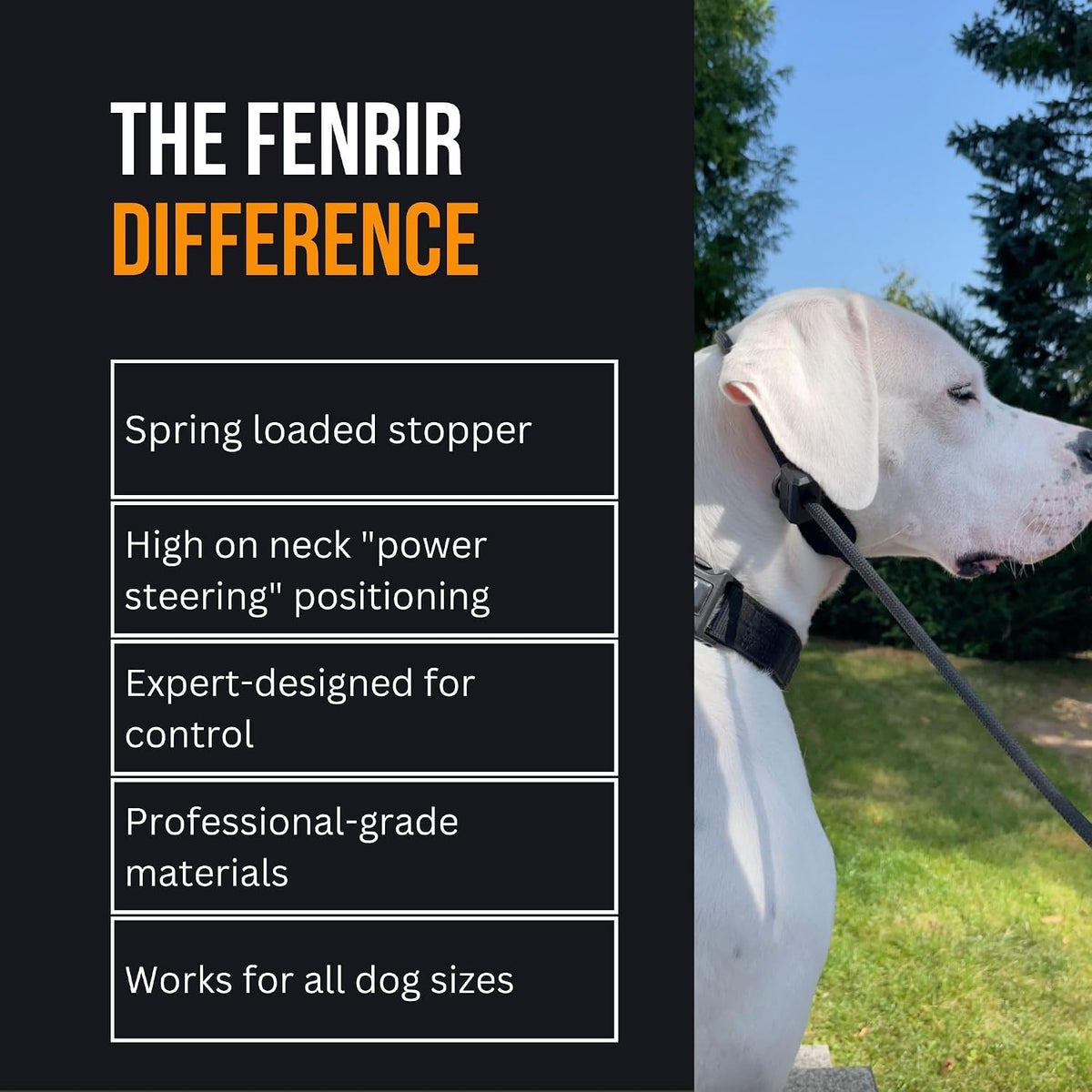 Slip Leash 1.4m Professional Dog Training Lead to Stop Pulling, Perfect for Walks, Easy to Use, Spring Loaded