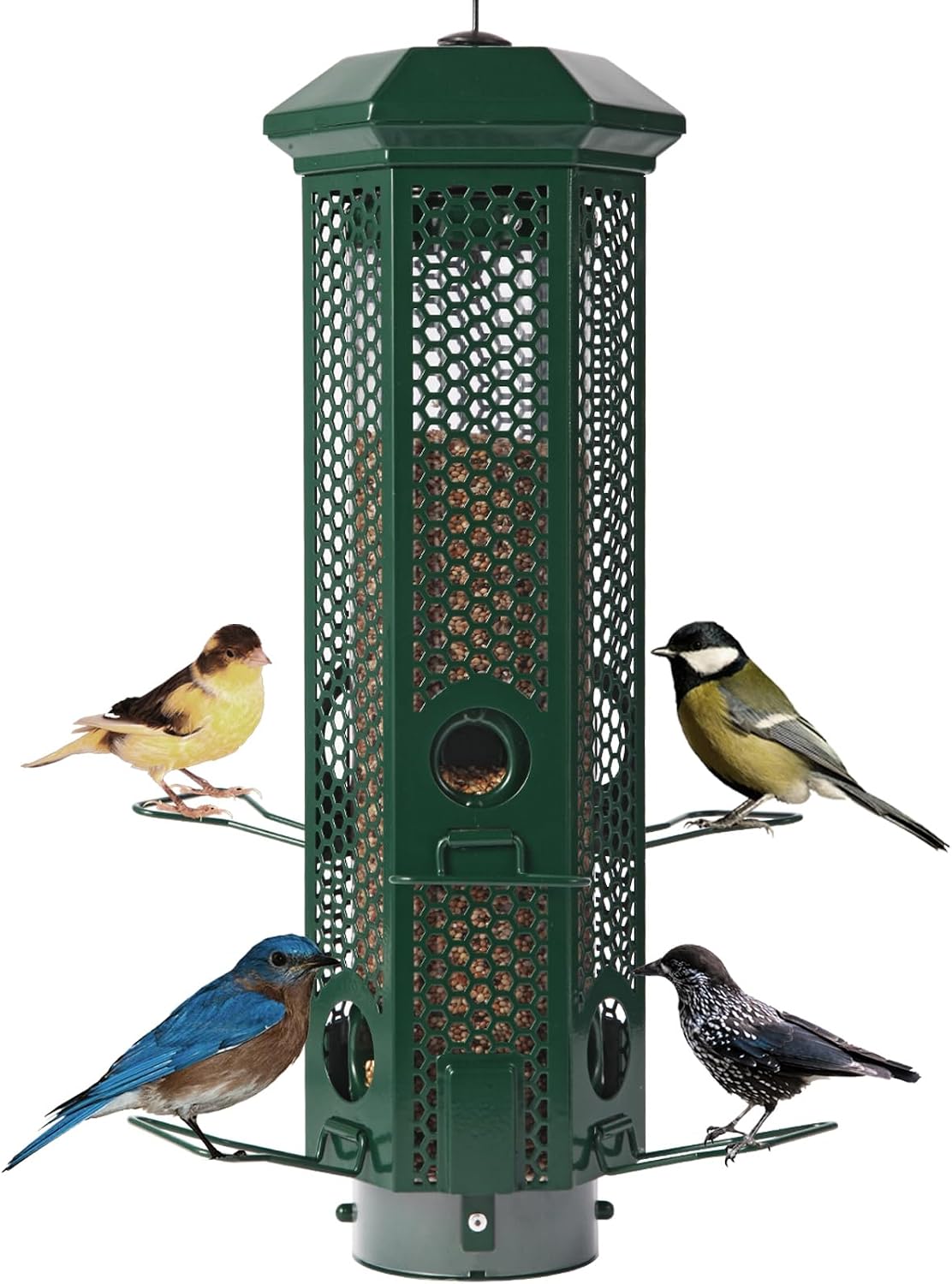 Squirrel Proof Bird Feeders with Removable Base, Metal Wild Bird Feeder for Outdoors Hanging, 6 Weight-Activated