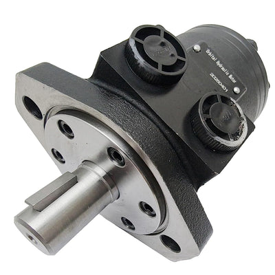 Hydraulic Motor BMRS-250-H2-K-P BMRS250H2KP Compatible for Dynamic