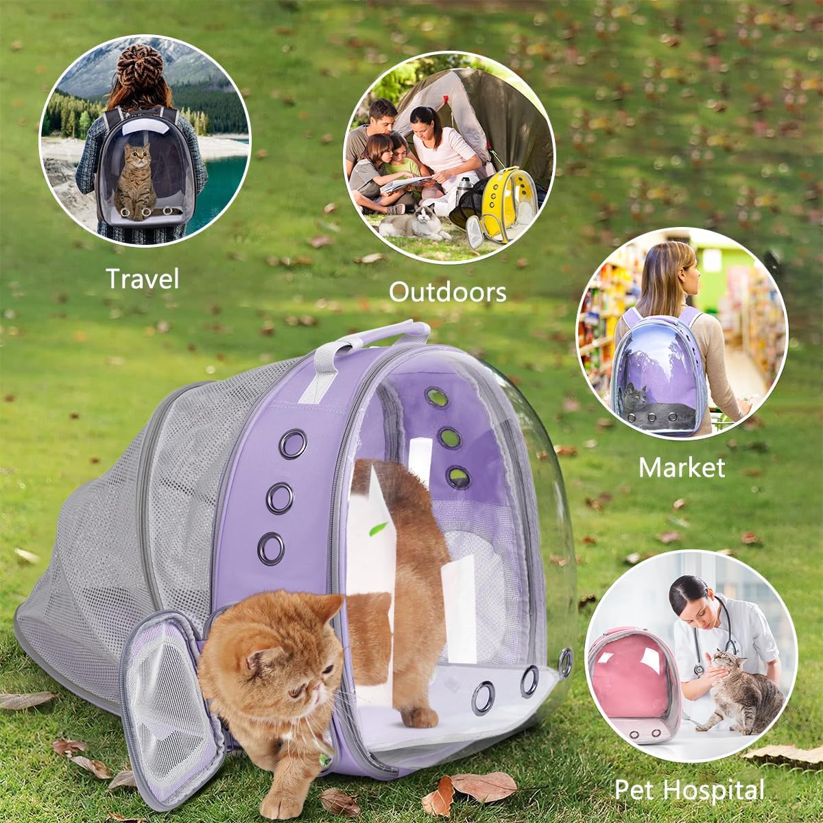 Expandable Cat Carrier Backpack with Bubble Window, Purple