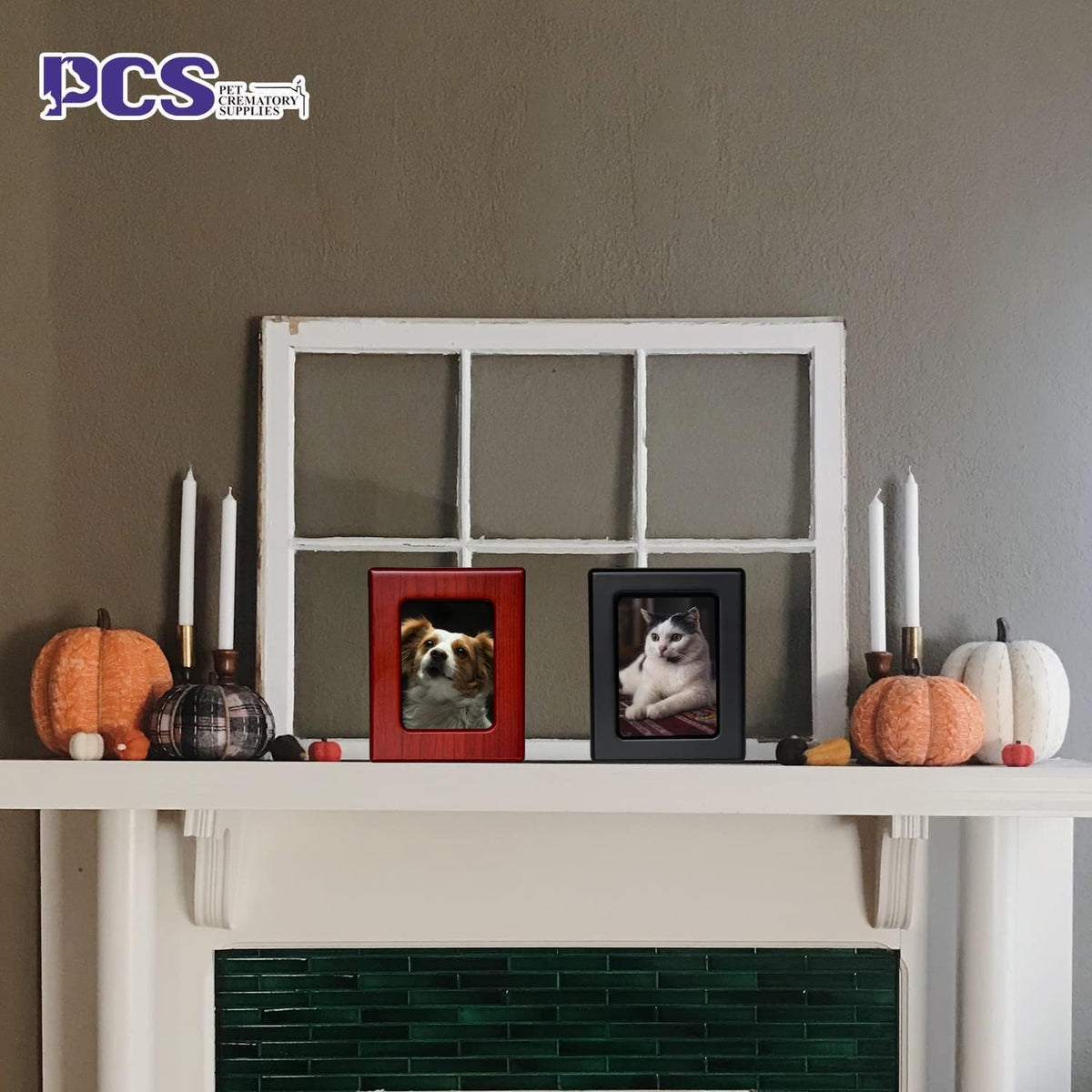 PCS Cat Urn for Ashes - Photo Urn, Black Small Pet Cremation Box