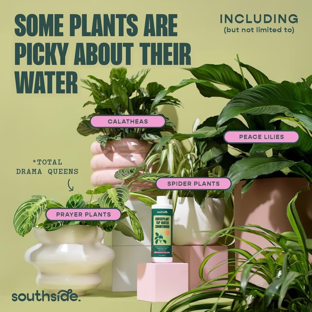 Tap Water Conditioner for Houseplants & Hydroponics - Remove Chlorine, Chloramines & Heavy Metals, Buffers pH - 8 Oz