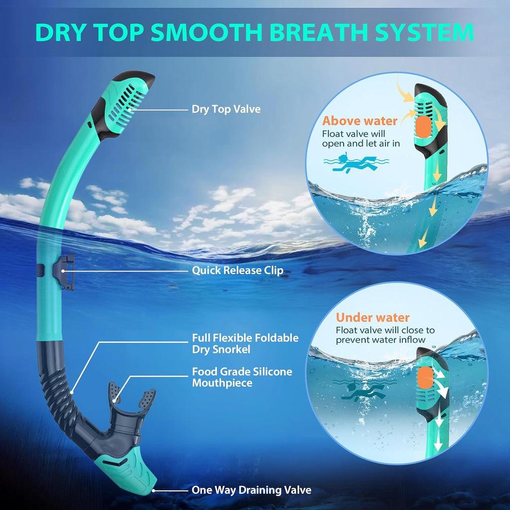 Snorkeling Gear Set for Adults – Dry Top Snorkel Set, Panoramic Anti-Fog Mask, Adjustable Swim Fins – Travel Diving
