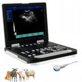 N50 Portable Veterinary Ultrasound Machine with 3.5 Mhz Convex Probe