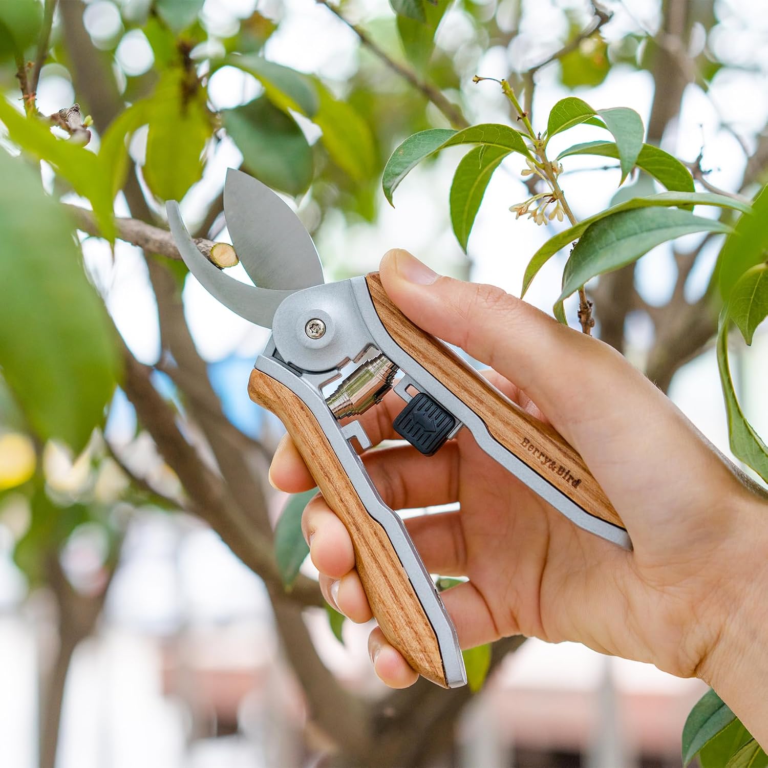 Mini Pruning Shears for Gardening Curved Blades Hand Pruners with Wooden Handle Garden Scissors Snips Stainless Steel