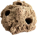 3 Hole Sandbed Coral Artificial Resin Frag Rack/Rock for Live Coral Plug Ons for Reef Aquariums (Tan)
