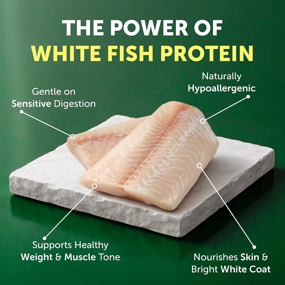 Superior Care Adult Dog Dry Food, White Fish 3.3lb