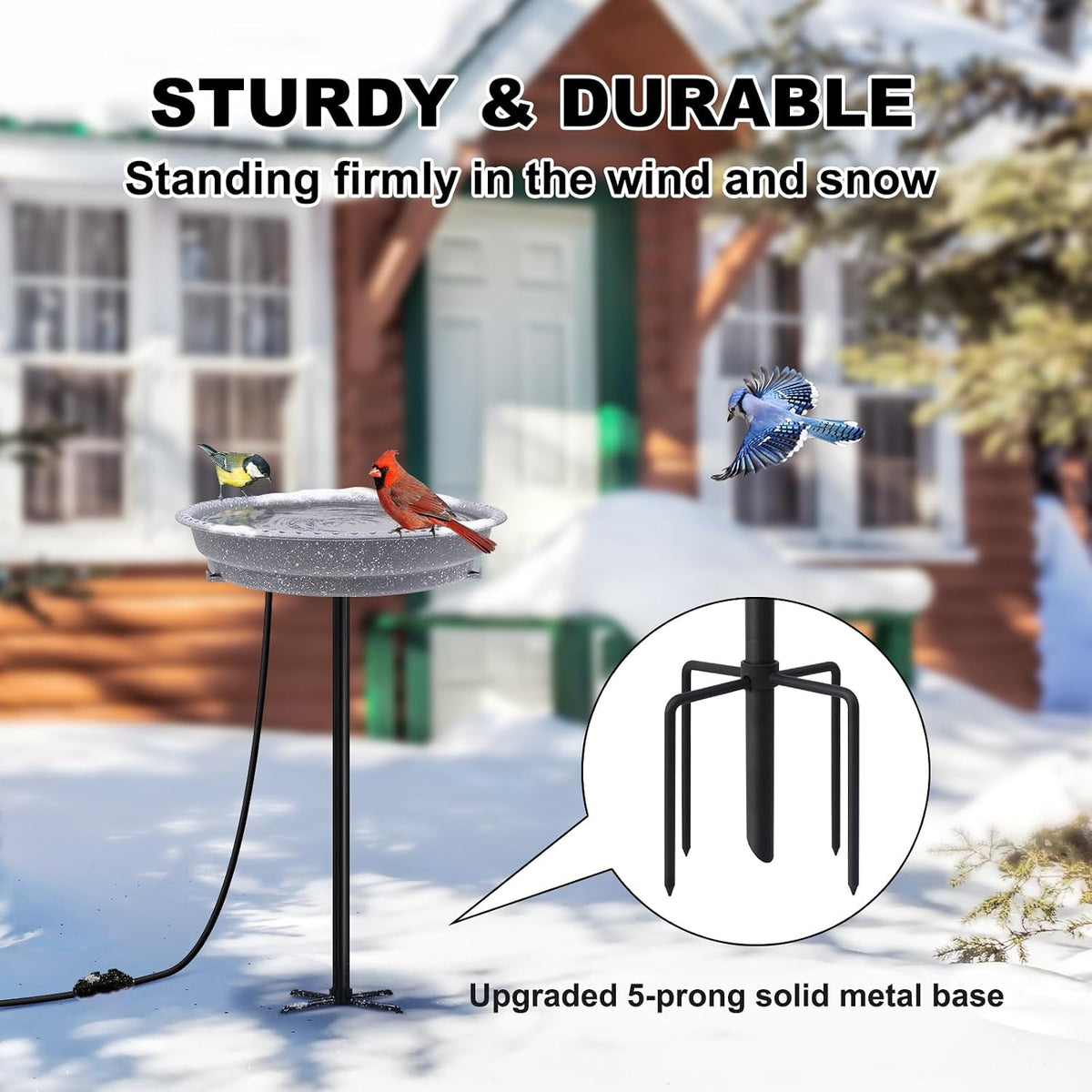 Heated Bird Bath, Stable 5-Prong Metal Base Thermostat Control Weather Resistance All Seasons Available 75W Heated