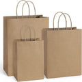 75 Pack Kraft Paper Gift Bags with Handles Assorted Sizes Brown
