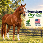 Electro-Boost Oxy-Cell Electrolyte Paste for Horses, 80ml