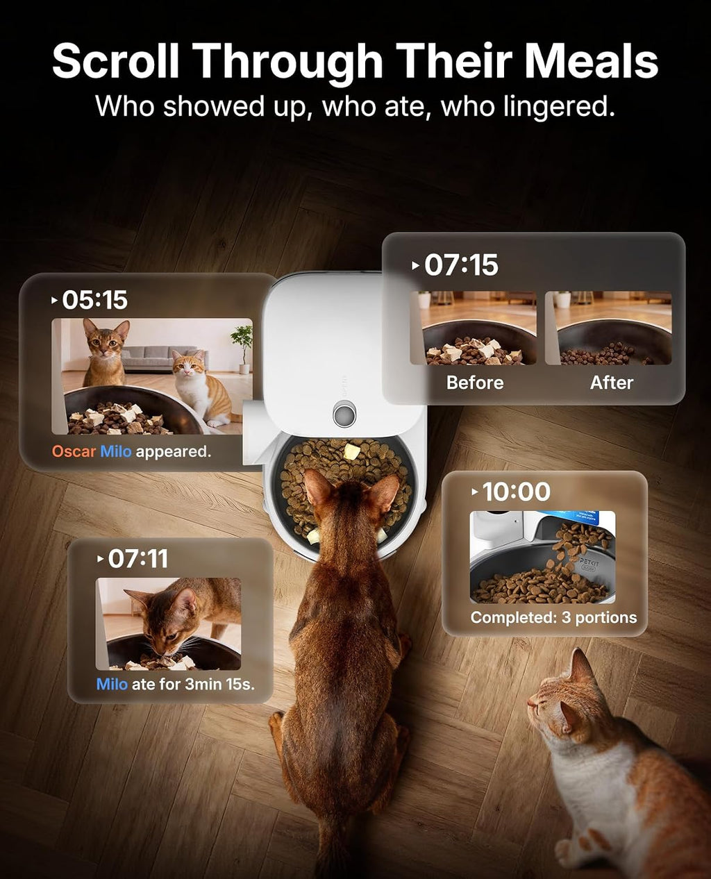 Upgraded Multi-Cat Recognition Automatic Cat Feeder with Camera