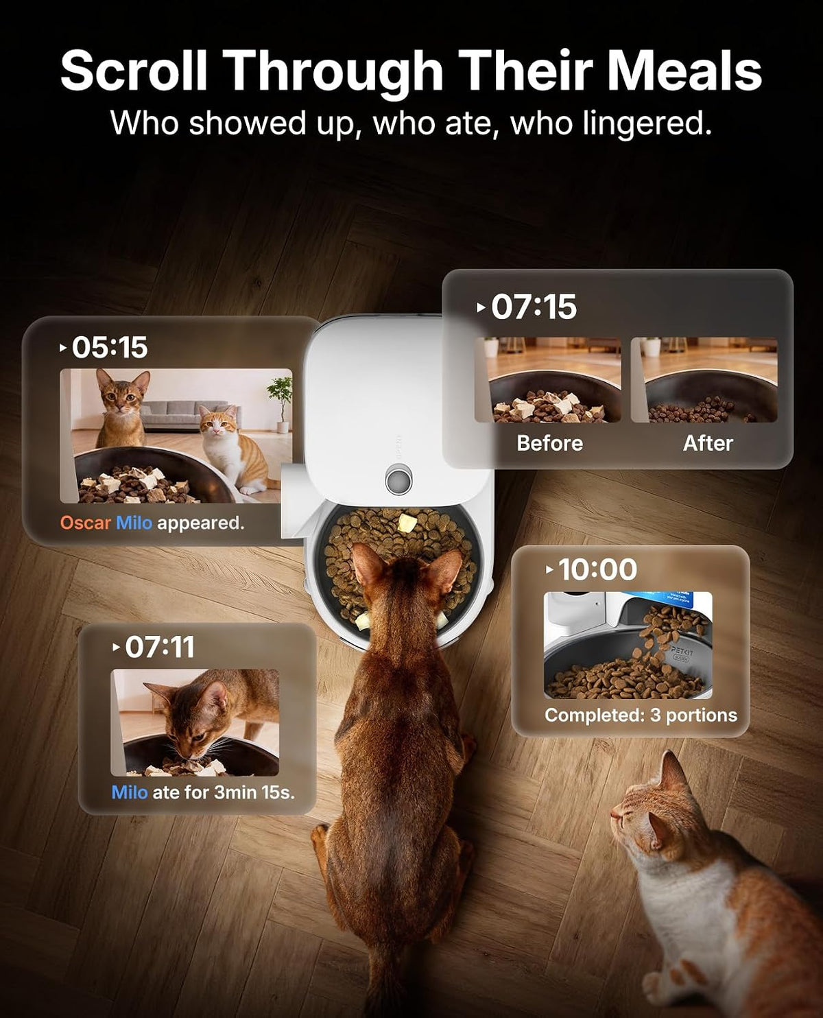 Upgraded Multi-Cat Recognition Automatic Cat Feeder with Camera