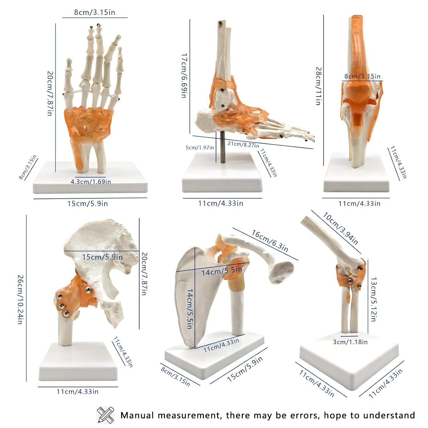6 pcs/Set Anatomy Models Human Shoulder Elbow Hip Knee Hand Foot Joint Bone Models Human Joint Anatomy Model Science